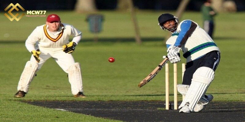 A Brief Overview of the Game of Cricket