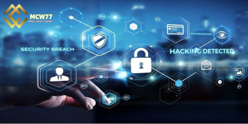 MCW77 privacy policy - Account Protection Guidelines for Members