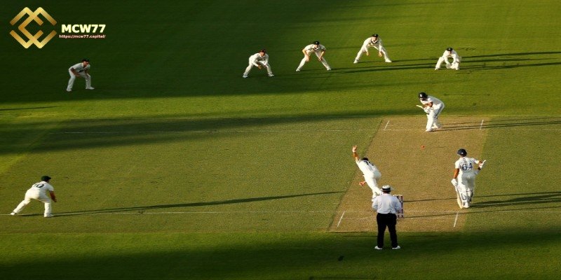 An Overview of the Sport of Cricket