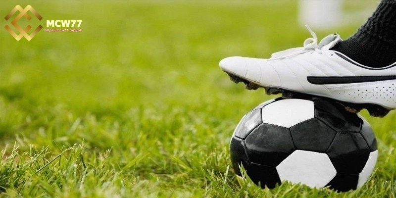 How to choose sports betting odds in betting - Based on Match Analysis