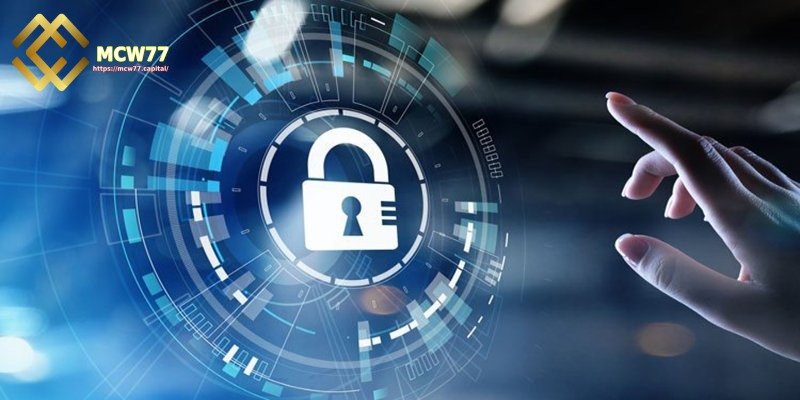 MCW77 privacy policy - Principles of Collecting and Managing Personal Information