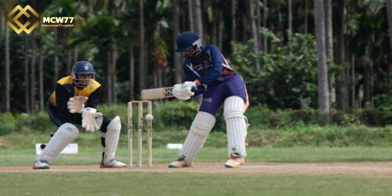 How to Use Cricket Betting Strategies - Stick to Your Strategy Until the End