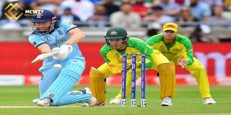 The Most Common Types of Cricket Betting
