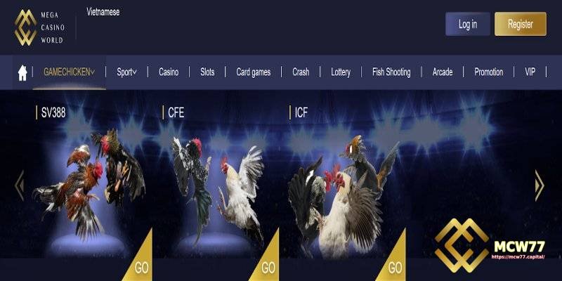 Unique Live Cockfight Betting Experience